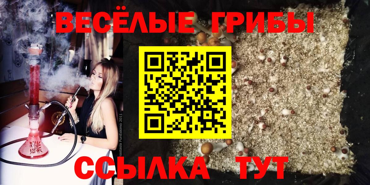 Кизилюрт  Псилоцибиновые грибы прущие грибы  Вход с VPN 