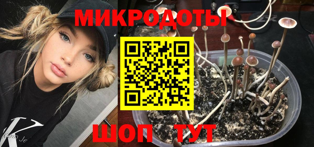 Галлюциногенные грибы ЛСД Кизилюрт